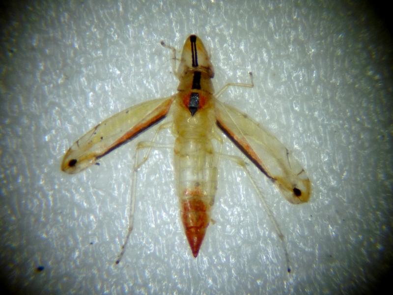 c0142963_23102565.jpg