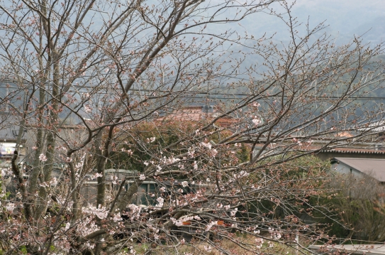 c0186463_19324157.jpg