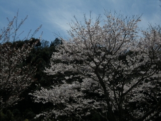 f0055264_21323741.jpg