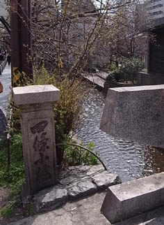 b0051666_0323443.jpg