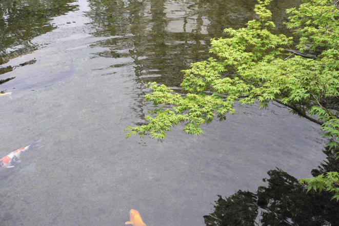 d0109568_1856716.jpg