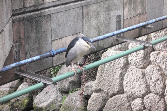 d0109568_1965589.jpg
