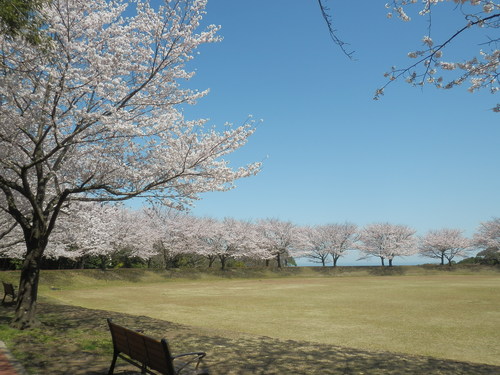 c0042869_2193561.jpg