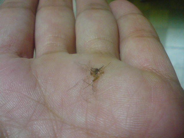 f0096569_73549.jpg
