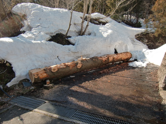 f0225473_23491417.jpg