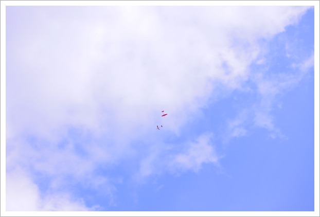 b0140877_15465338.jpg