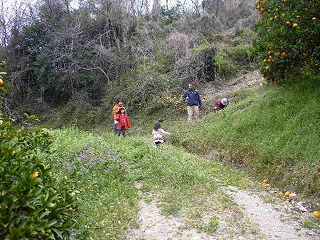 b0183781_6235422.jpg