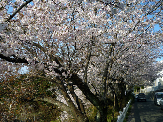 c0125283_947957.jpg