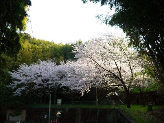 c0125283_9482082.jpg