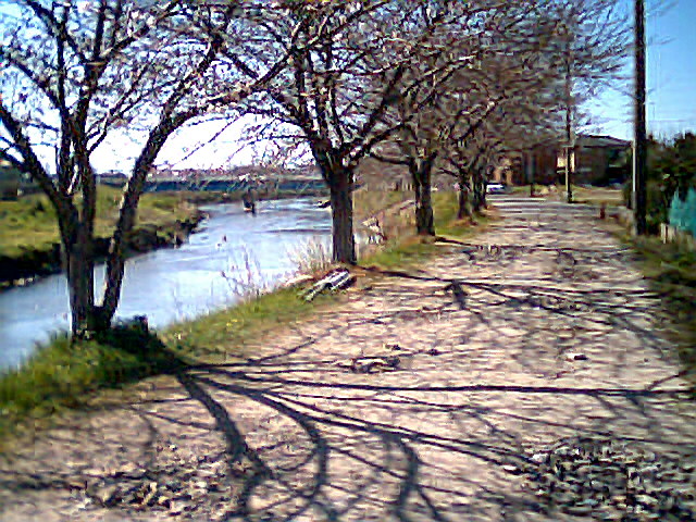 d0007286_22234520.jpg