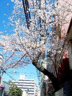f0082086_1710308.jpg