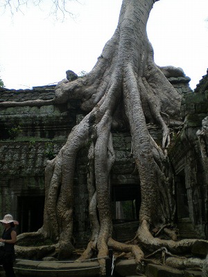e0123587_2344249.jpg