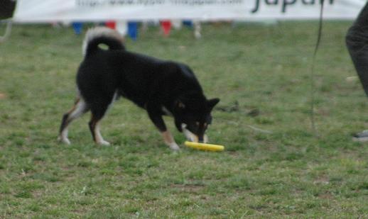 c0123890_21442331.jpg