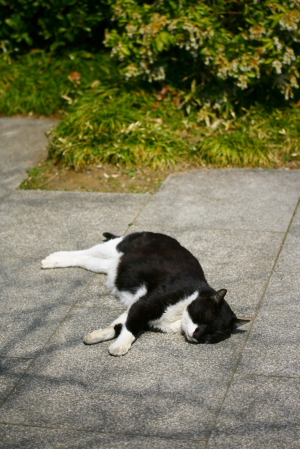 d0133693_8471536.jpg