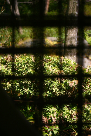 d0133693_8471953.jpg