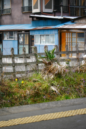 d0133693_847447.jpg