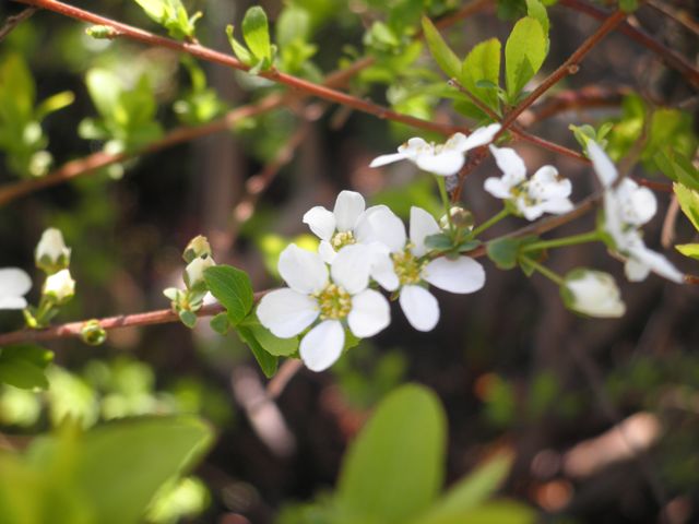 f0130894_21183791.jpg