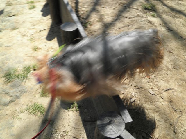 f0130894_21201478.jpg