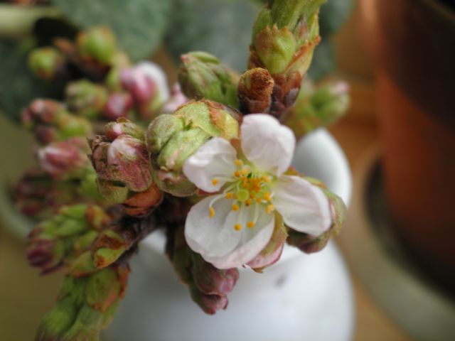 f0130894_2165276.jpg