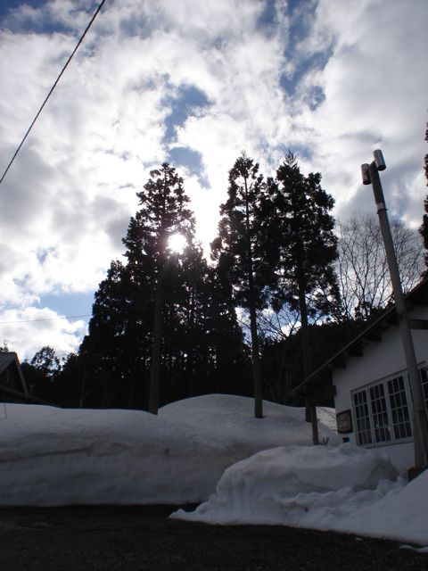 a0061599_83049100.jpg