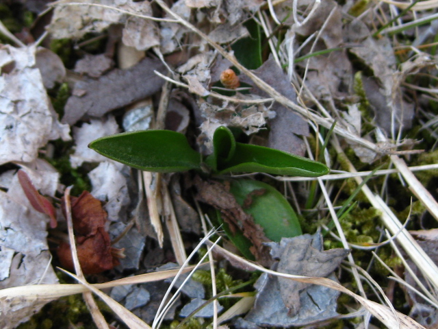 f0236201_9524489.jpg