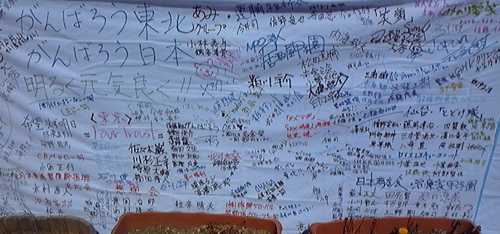 f0237601_153303.jpg