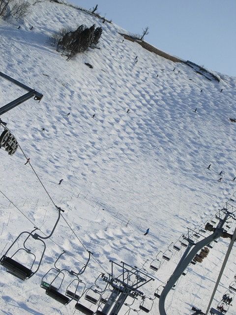 b0187505_14452370.jpg