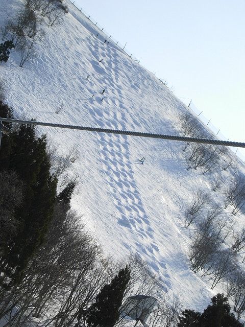 b0187505_14453363.jpg