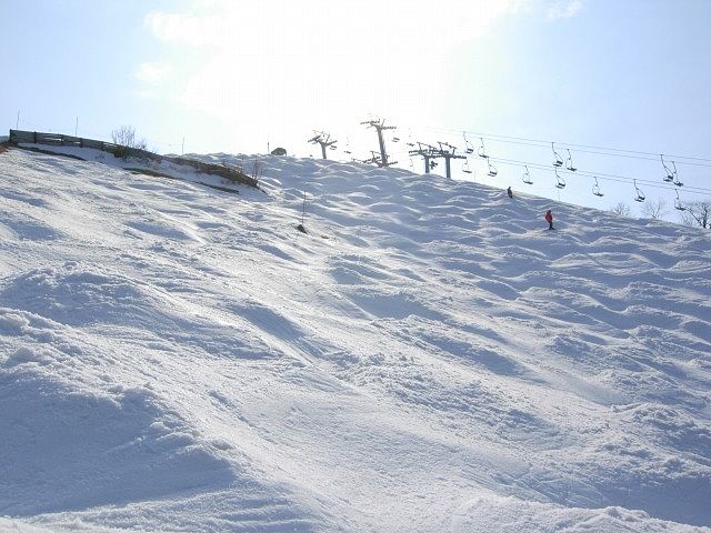 b0187505_14454166.jpg