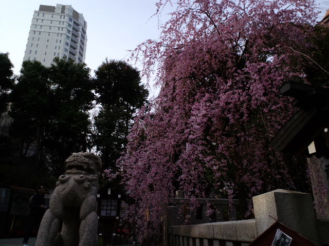 a0088007_1812967.jpg