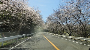 b0197418_18553643.jpg