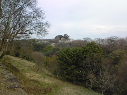 c0097620_2035266.jpg