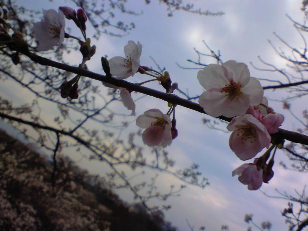 c0097620_2035408.jpg