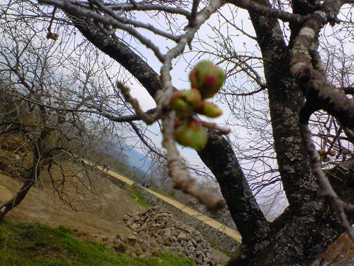 c0097620_2035921.jpg