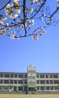 d0024220_9544919.jpg