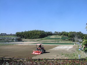 d0120421_11443653.jpg