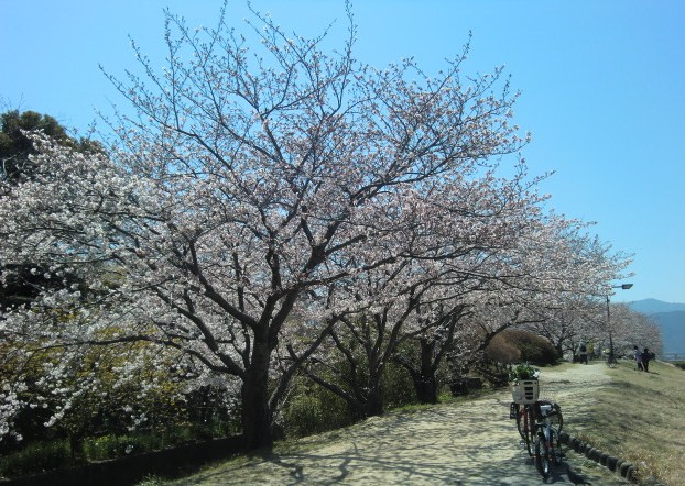 c0095424_14341788.jpg