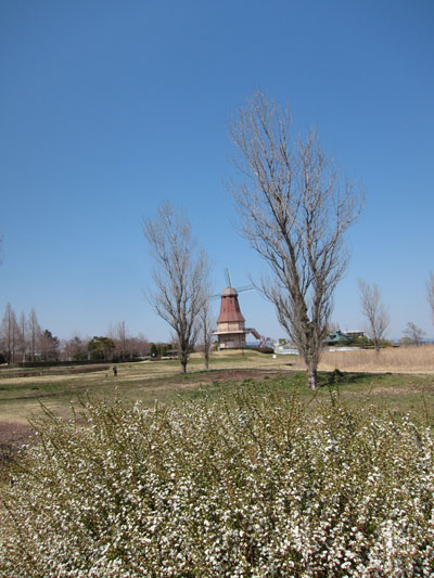 f0147025_15451745.jpg