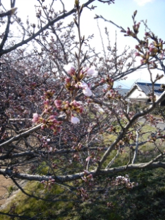c0034228_1493519.jpg