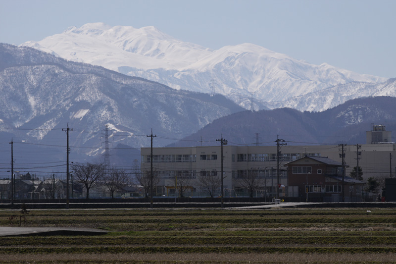 b0177233_7204853.jpg