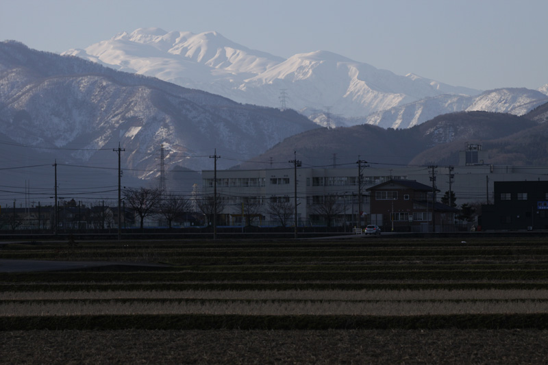 b0177233_72089.jpg