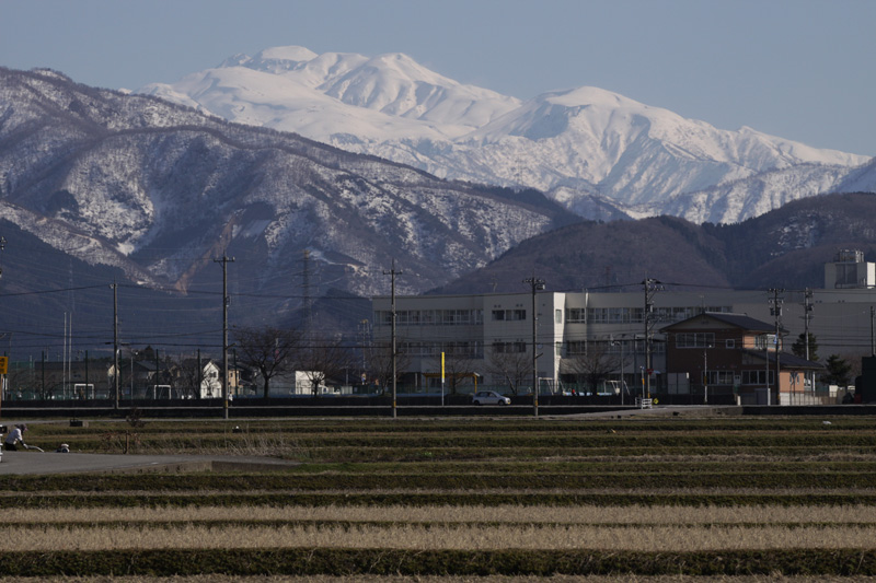 b0177233_722363.jpg