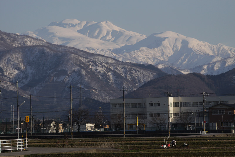 b0177233_7232733.jpg