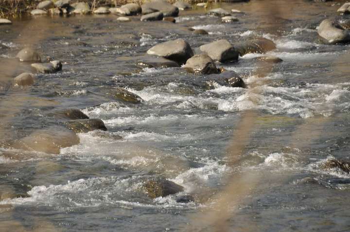 c0133133_2139152.jpg