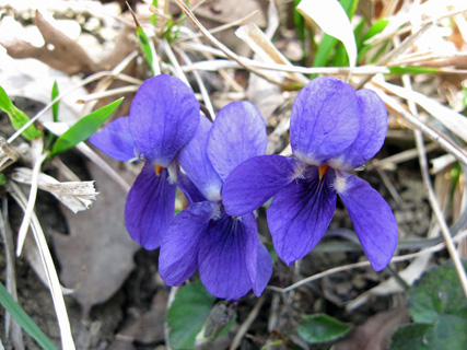 f0234936_21104135.jpg