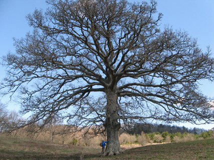 f0234936_2132684.jpg