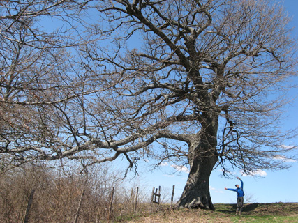 f0234936_2155150.jpg