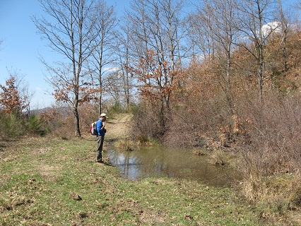 f0234936_2173442.jpg
