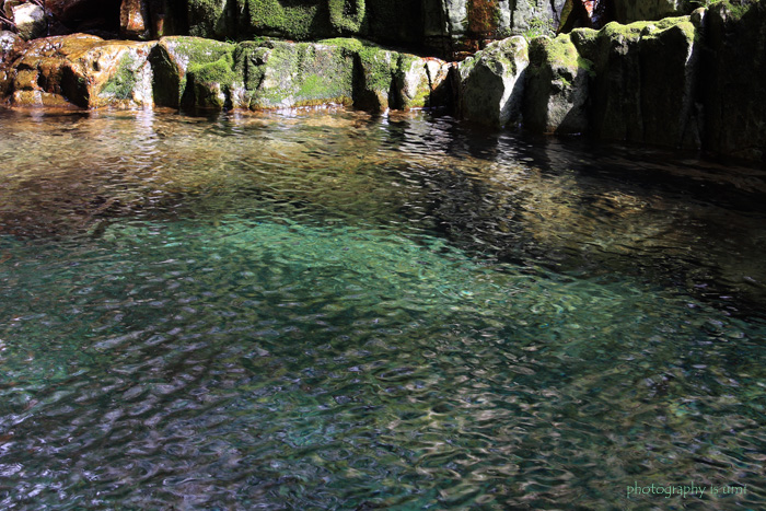 e0083238_0215934.jpg