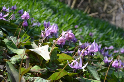 e0228938_20242480.jpg